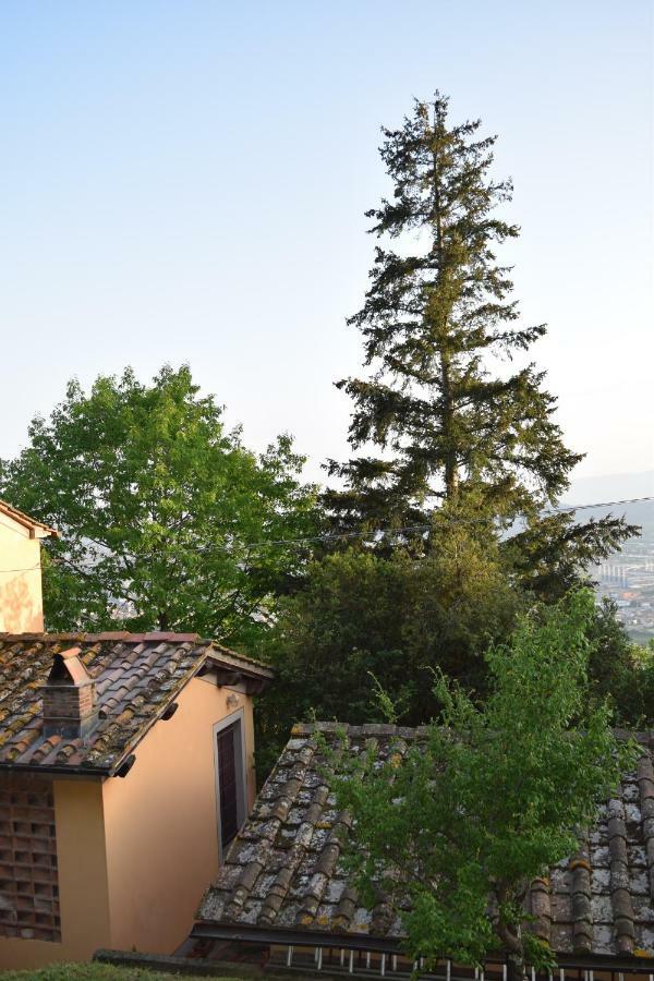 הוילה Uzzano La Casa Sui Colli מראה חיצוני תמונה